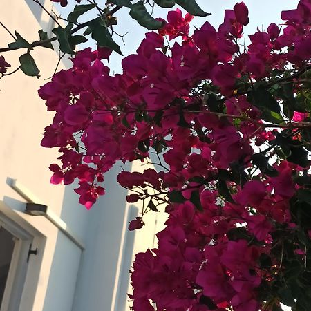 Isalos Paros Náousa Exteriör bild